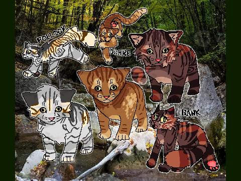 [CLOSED] Alluvium - Donated FCFS FC Litter