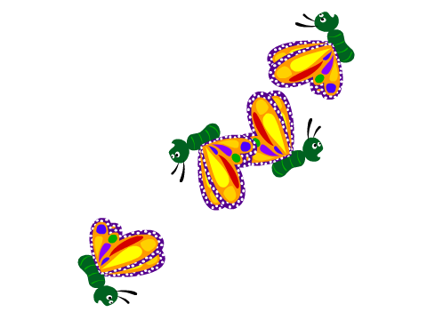 Which butterfly goes where?