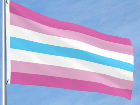 The Femboy Flag (according to google)