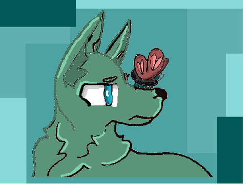 My entry <3