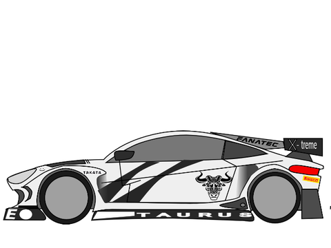 Taurus Race Car 