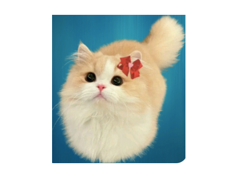 NEW PFP!!! AHH <333