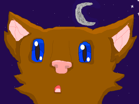 Night Kitty