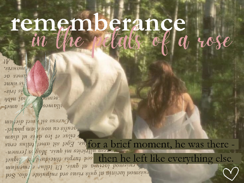 remembrance in the petals of a rose | a wce