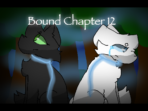 Bound Chapter 12 TN Contest remix