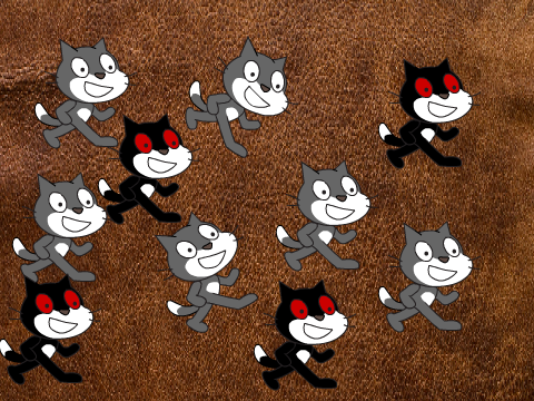 Cat Formation