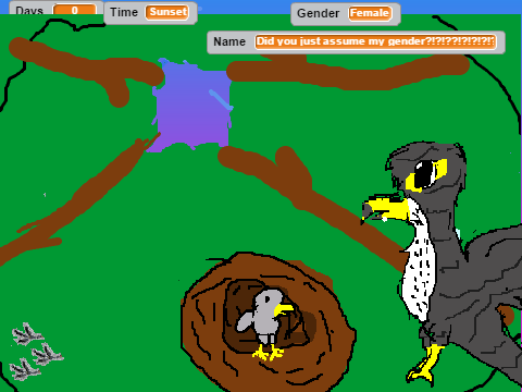 Falcon Adventures
