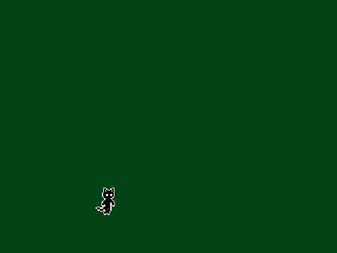 random CAT game