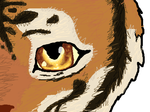 CC Tiger Eye Entry