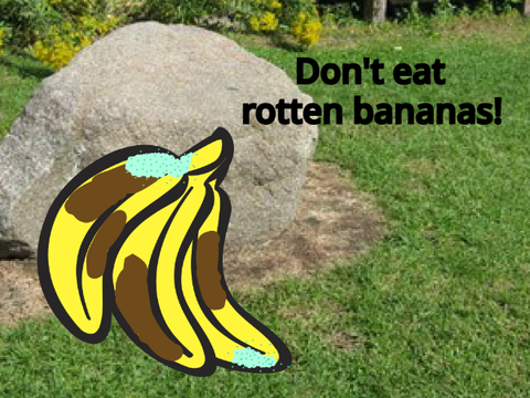 Don't Eat Rotten Bananas!