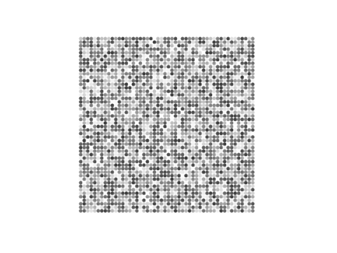 The Infinite Library