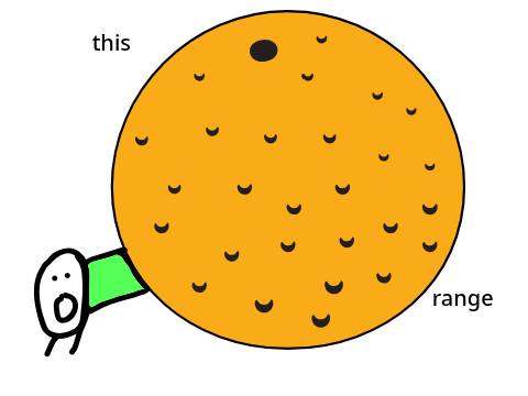 this orange... its ginormous. 