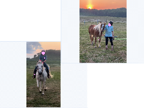 Horse Community Collage remix