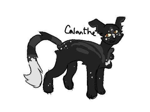 ✧ || Calantheflight Reference