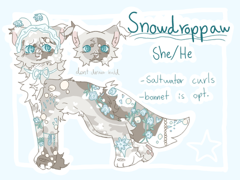 ❝artist's muse❞  ..✿.. snowdroppaw ref .. ◛⑅·˚ ༘ ♡