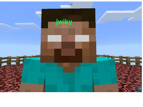 Sign Herobrine's face! P.S Don't be afraid! remix