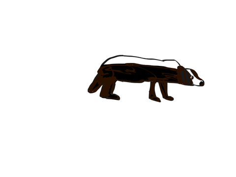  Badger 
