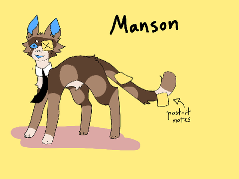 Manson / Catsona