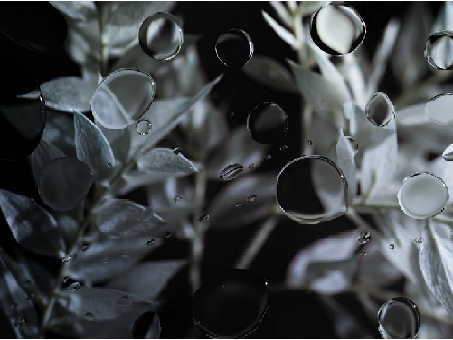 50 Questions for Therians!ₓ˚. ୭ ˚○◦˚.˚◦○˚ ୧ .˚ₓ