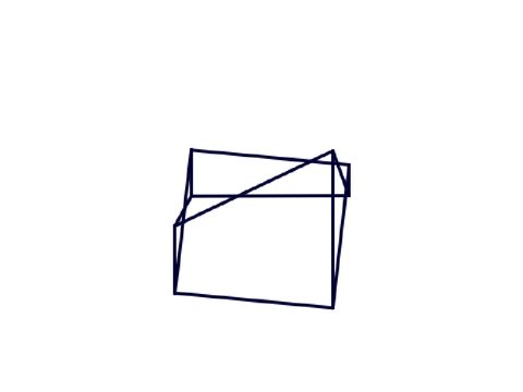 illusion