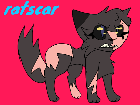 Darkened stars refs remake
