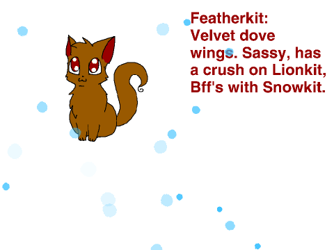 My cats for Flightclan batclan and Breezeclan