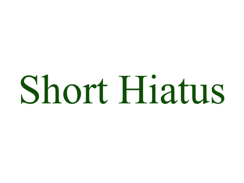 Short Hiatus