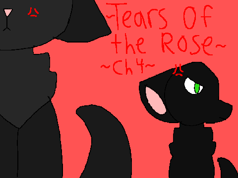 TEARS OF THE ROSE // CHAPTER 4