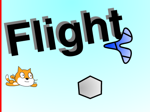 Flight