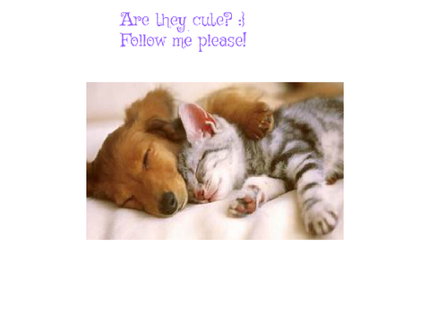 Are they cute? :}