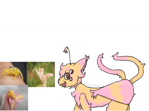 drawing of mothcatspiderrrrrrrr