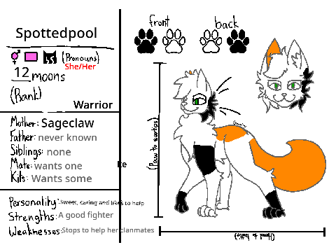 Warrior Cat Ref Sheet remix