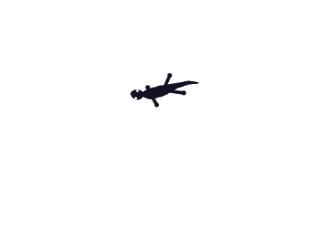 lizard