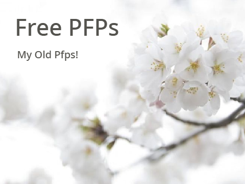 My Old PFPs!