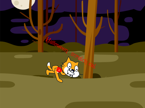 Scratch cat at different times of the year