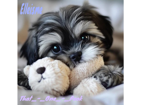 Sign this if you like puppies( pls read instructions) remix
