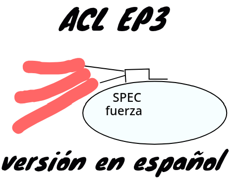 (ESPANOL) ACL episode 3