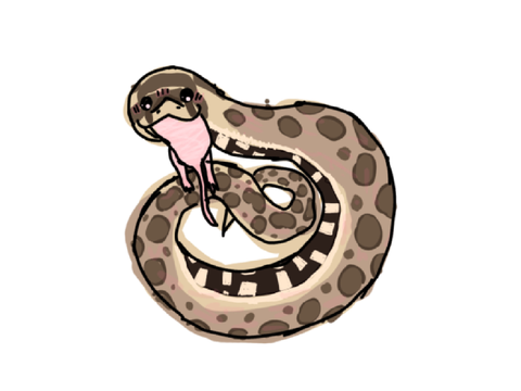 My little sister’s snake