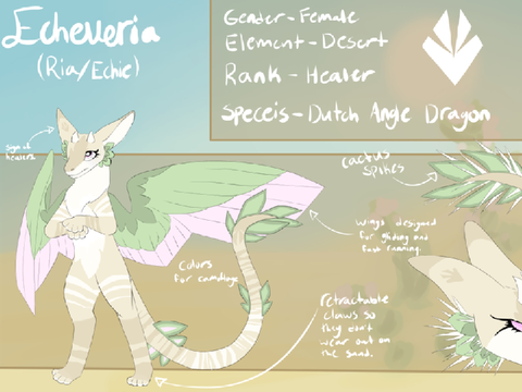 Echeveria Ref Sheet