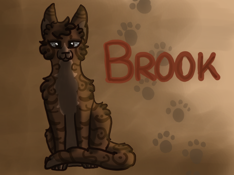 Brook