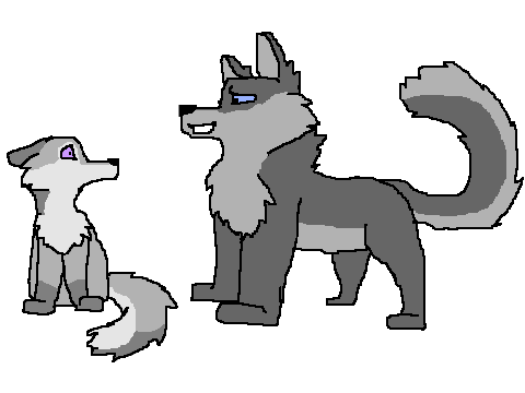 Anew pack