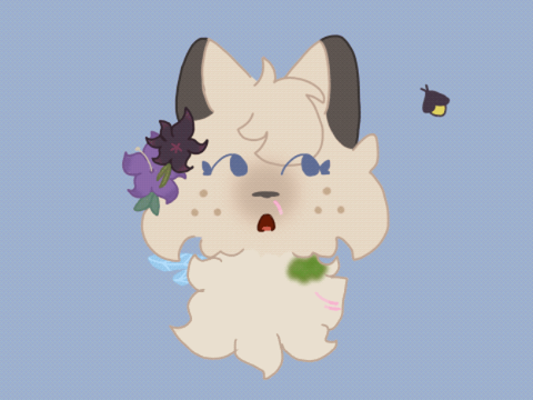 Acornpaw