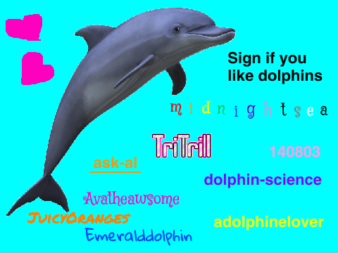 sign if you like dolphins remix remix remix remix remix remix remix remix remix remix