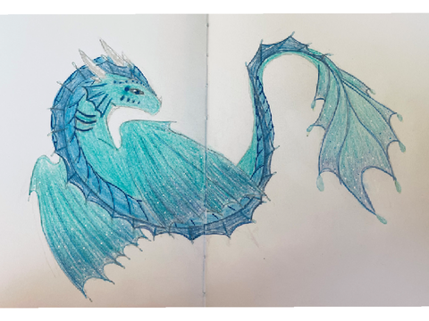 Drawing Contest - Entry