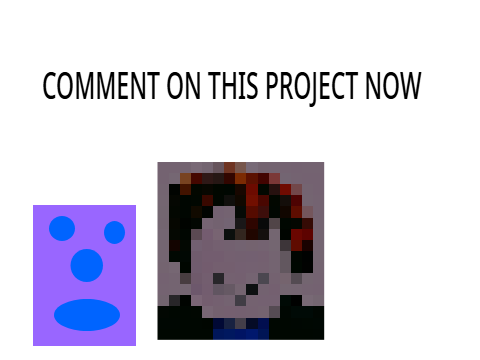 COMMENT ON THIS PROJECT