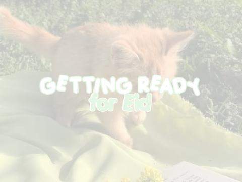  ‹ getting ready for eid