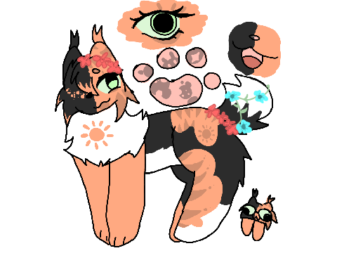 {] Solarpaw's Sunlit Meadow [}