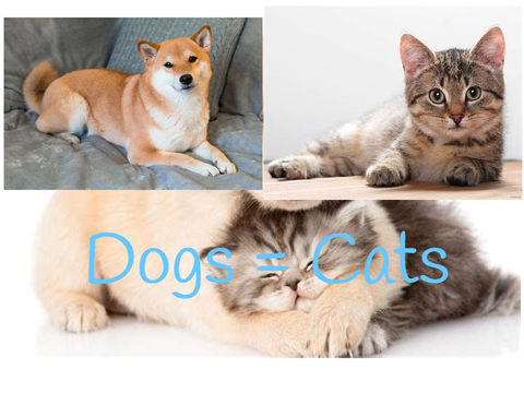 Dogs or Cats