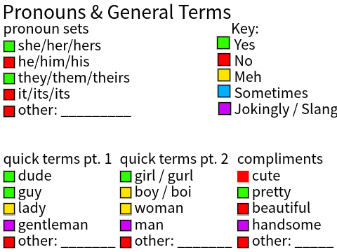 Terms & Pronouns Sheet  remix