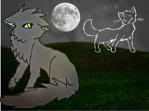 Graystripe x Silverstream